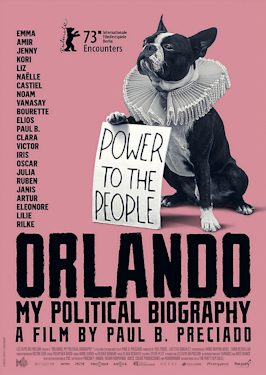 Poster for Orlando, My Political Biography