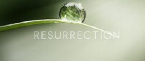 Poster for Resurrection