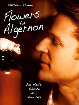 Poster for Flowers for Algernon