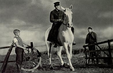 Poster for The Rider on the White Horse