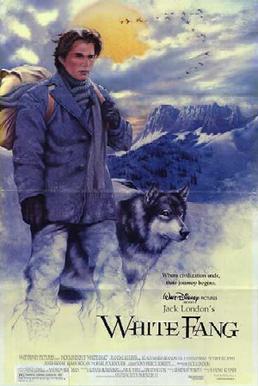 Poster for White Fang