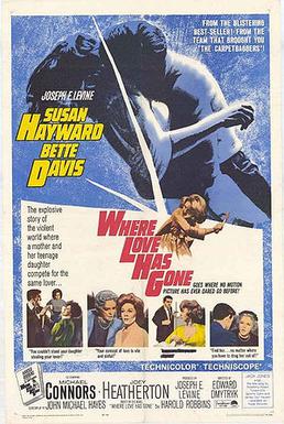 Poster for Where Love Has Gone