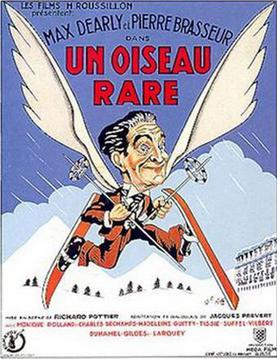 Poster for A Rare Bird