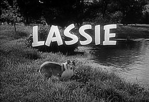 Poster for Lassie