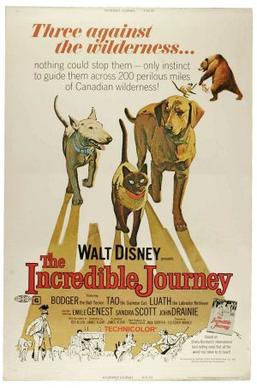 Poster for The Incredible Journey