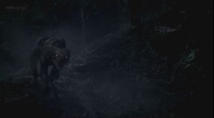 Poster for The Hounds of Baskerville