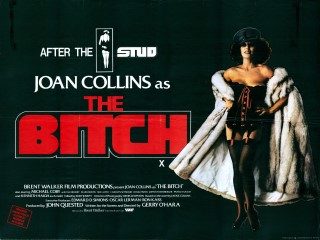 Poster for The Bitch