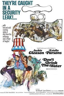Poster for Don't Drink the Water