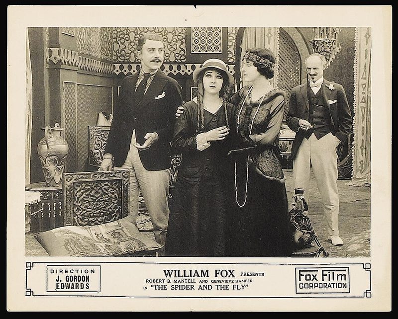 Poster for The Spider and the Fly