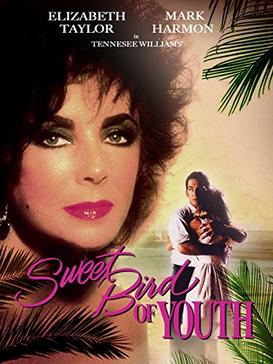 Poster for Sweet Bird of Youth