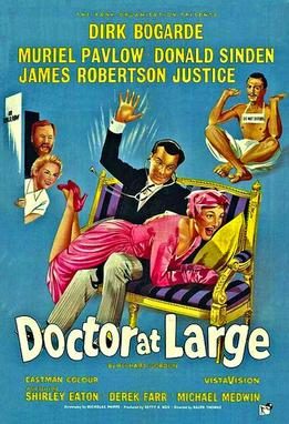 Poster for Doctor at Large