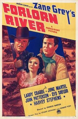 Poster for Forlorn River