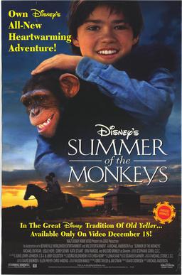 Poster for Summer of the Monkeys