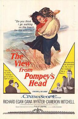 Poster for The View from Pompey's Head