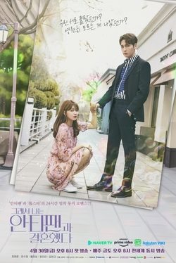 Poster for So I Married an Anti-fan