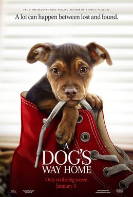 Poster for A Dog's Way Home