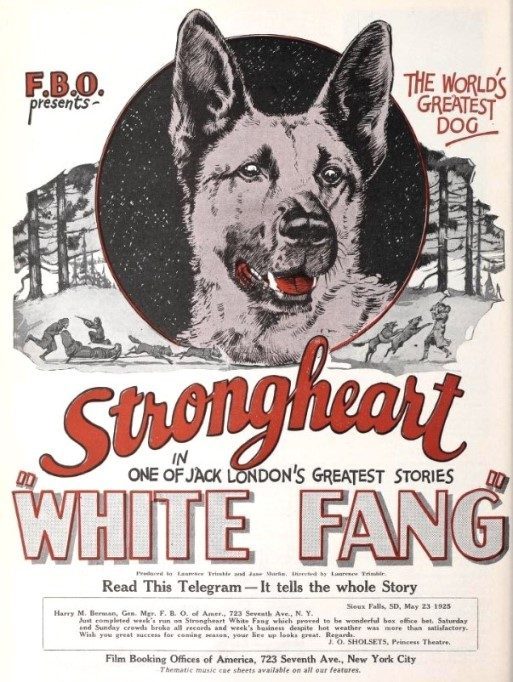 Poster for White Fang