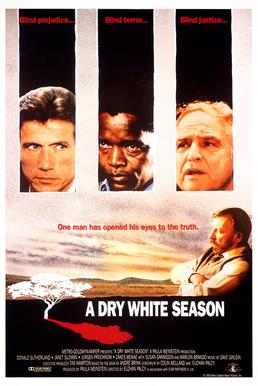 Poster for A Dry White Season
