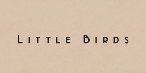 Poster for Little Birds