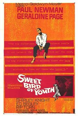 Poster for Sweet Bird of Youth