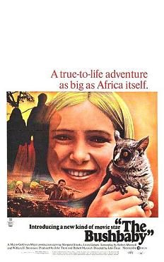 Poster for The Bushbaby