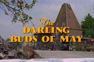 Poster for The Darling Buds of May