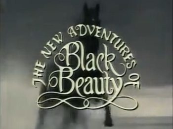 Poster for The New Adventures of Black Beauty