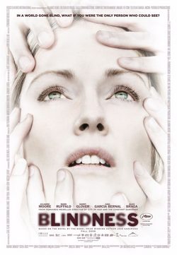 Poster for Blindness