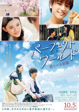 Poster for Perfect World